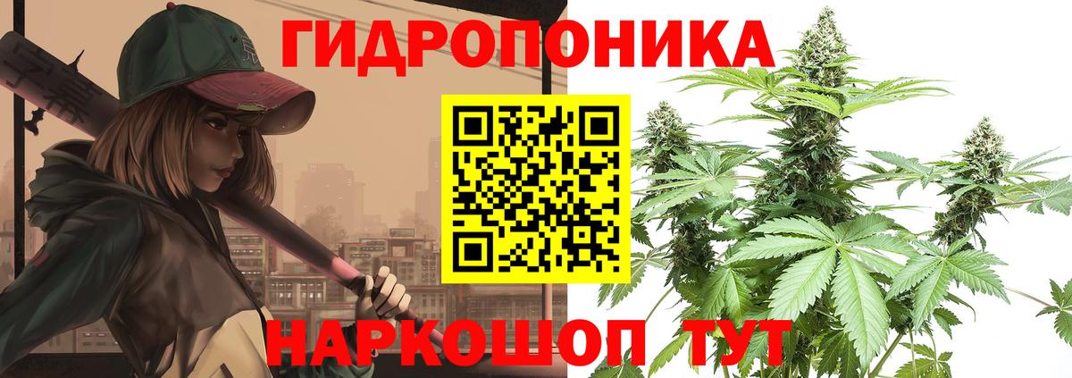 Шишки марихуана MAZAR Пугачёв